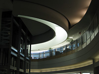 Looking up a the swoosh skylight
